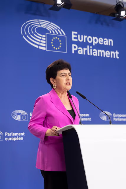 Fotografija 16: AFET press conference with Georgia's civil society activists leading mass pro-democracy protests across the country, on the occasion of AFET adoption of its annual Georgia report