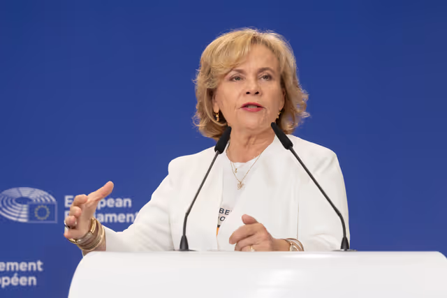 Fotografija 12: AFET press conference with Georgia's civil society activists leading mass pro-democracy protests across the country, on the occasion of AFET adoption of its annual Georgia report