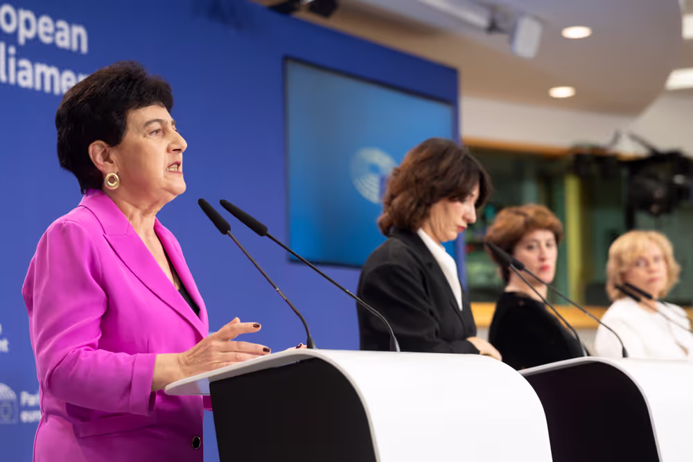 AFET press conference with Georgia's civil society activists leading mass pro-democracy protests across the country, on the occasion of AFET adoption of its annual Georgia report