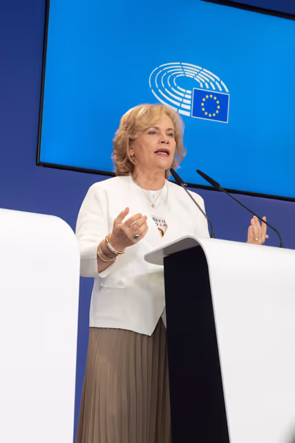 Fotografija 6: AFET press conference with Georgia's civil society activists leading mass pro-democracy protests across the country, on the occasion of AFET adoption of its annual Georgia report