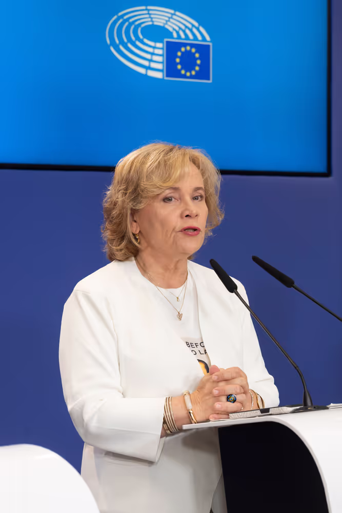 AFET press conference with Georgia's civil society activists leading mass pro-democracy protests across the country, on the occasion of AFET adoption of its annual Georgia report