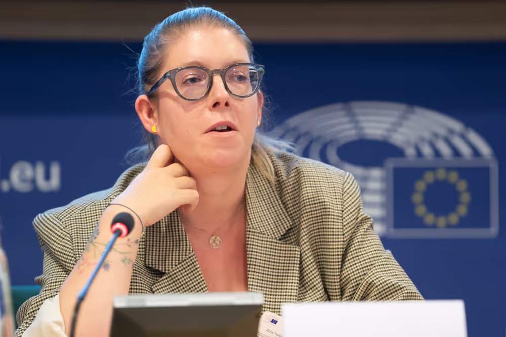 Conference on Countering Fake Election Observation, Disinformation, and Hybrid Threats - Closing session