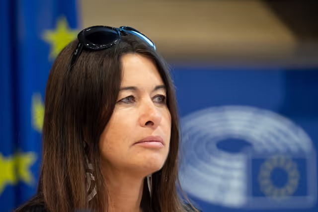 Fotografija 14: Conference on Countering Fake Election Observation, Disinformation, and Hybrid Threats - Closing session