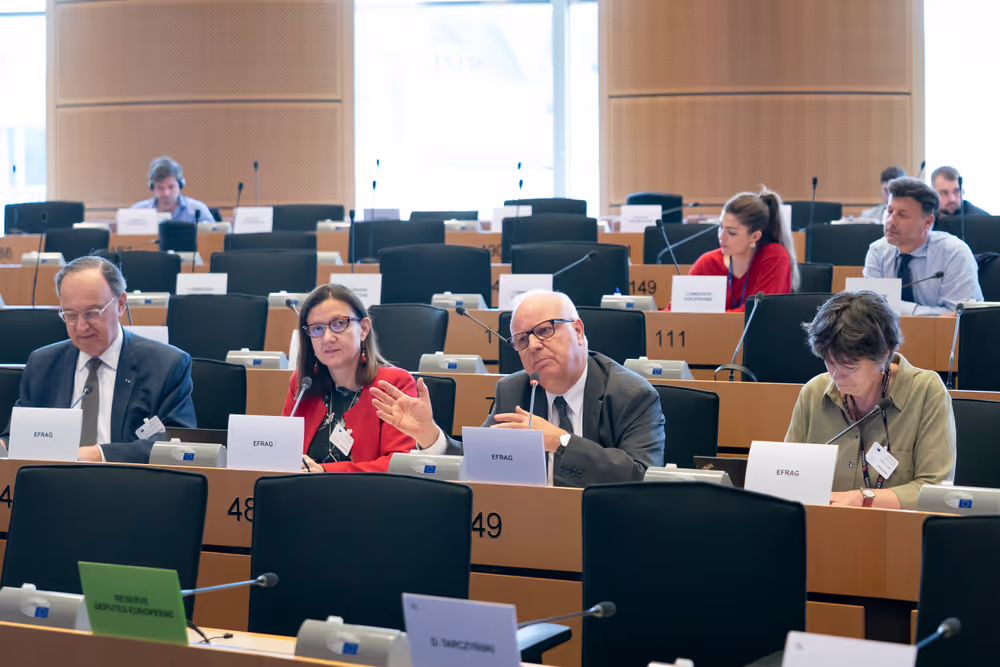 JURI - Presentation of EFRAG's Work Plan 2025