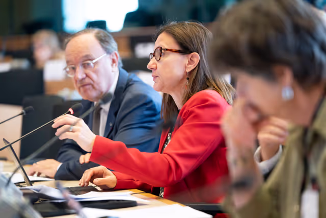 Fotogrāfija 11: JURI - Presentation of EFRAG's Work Plan 2025