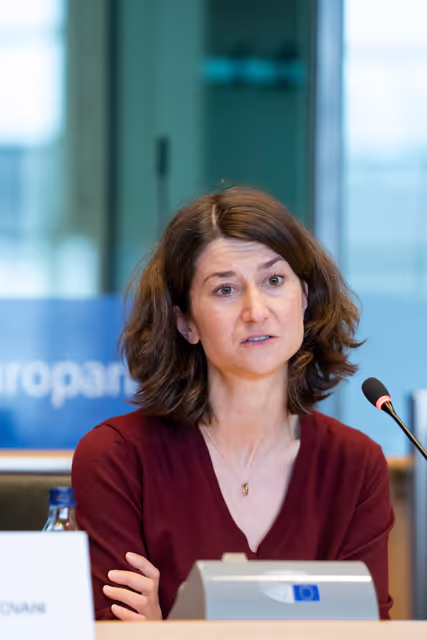 Fotogrāfija 8: JURI - Presentation of EFRAG's Work Plan 2025