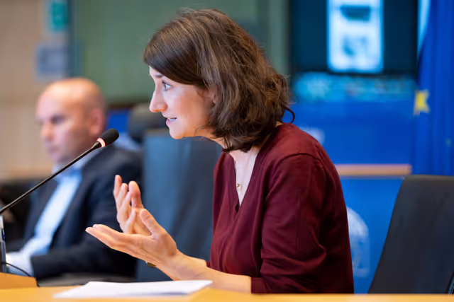 Fotogrāfija 6: JURI - Presentation of EFRAG's Work Plan 2025