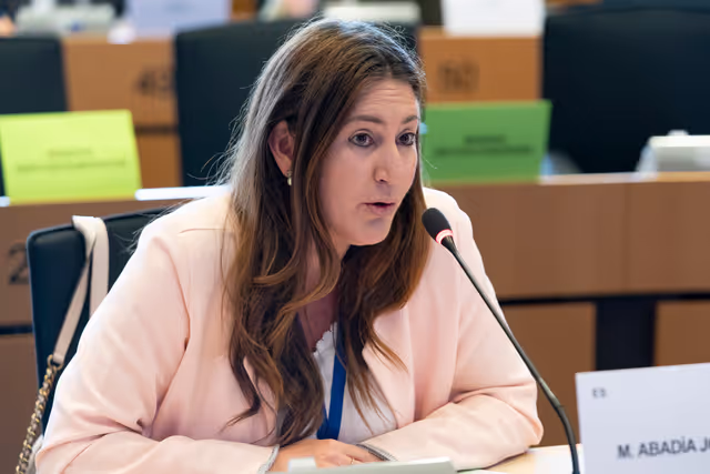 Fotogrāfija 4: JURI - Presentation of EFRAG's Work Plan 2025