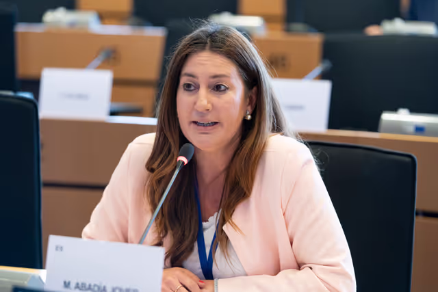 Fotogrāfija 2: JURI - Presentation of EFRAG's Work Plan 2025