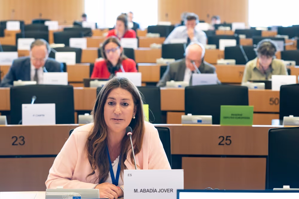 JURI - Presentation of EFRAG's Work Plan 2025