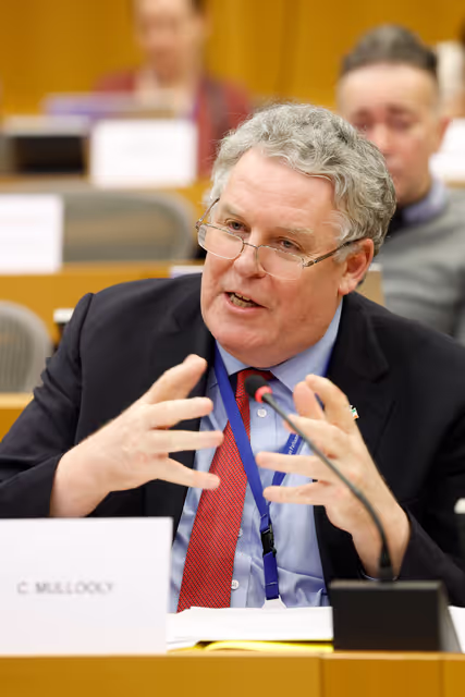 Fotografija 16: EP Plenary session - formal sitting - Address by Maia SANDU, President of the Republic of Moldova