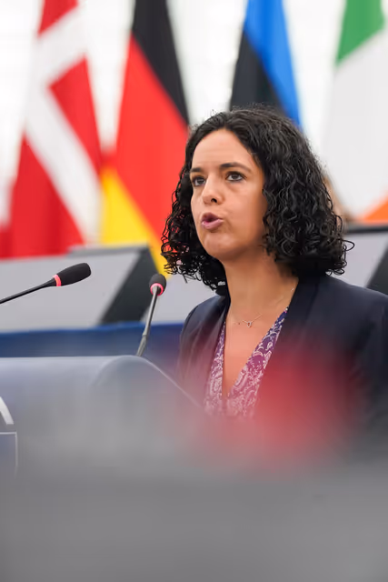 EP Plenary session -  Gaza at breaking point: EU action to combat famine, the urgent need to release hostages and move towards a two-state solution