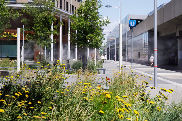 Zdjęcie 43: HOUS mission to Vienna