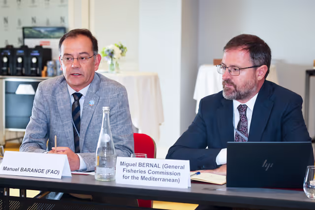 Fotografie 3: ENVI PECH DEVE  Delegation the 3rd United Nations Ocean Conference (UNOC) in Nice