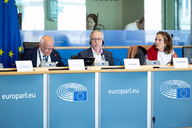 Fotografia 30: LIBE - Public hearing - Strengthening media freedom, freedom of expression and safety of journalists