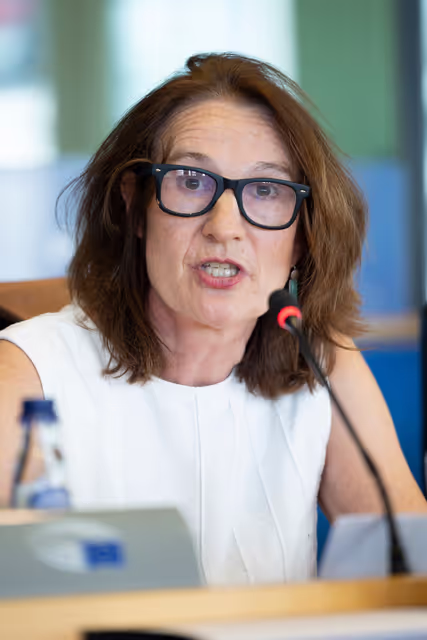 Fotografia 19: LIBE - Public hearing - Strengthening media freedom, freedom of expression and safety of journalists