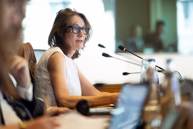 Fotografia 18: LIBE - Public hearing - Strengthening media freedom, freedom of expression and safety of journalists