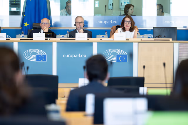 LIBE - Public hearing - Strengthening media freedom, freedom of expression and safety of journalists