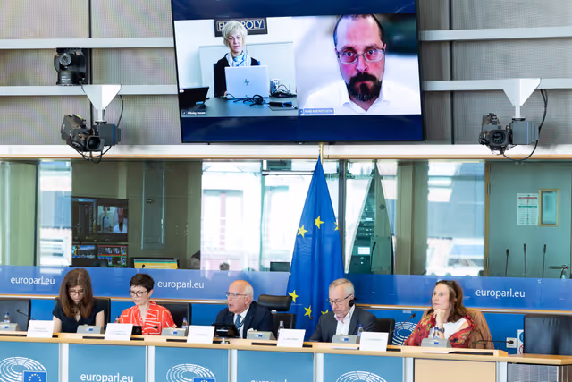 Fotografia 15: LIBE - Public hearing - Strengthening media freedom, freedom of expression and safety of journalists