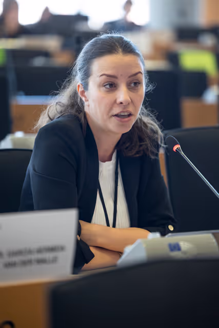 Fotografia 5: LIBE - Public hearing - Strengthening media freedom, freedom of expression and safety of journalists