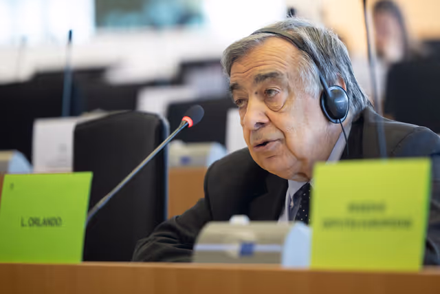 Fotografia 3: LIBE - Public hearing - Strengthening media freedom, freedom of expression and safety of journalists