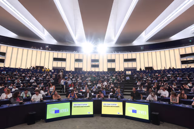 Zdjęcie 6: European Youth Event (EYE 2025) - Panels, interactive workshops and activities