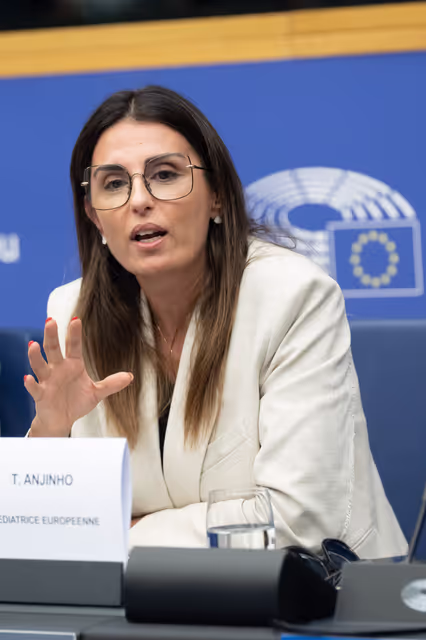 Zdjęcie 21: European Youth Event (EYE 2025) - Panels, interactive workshops and activities