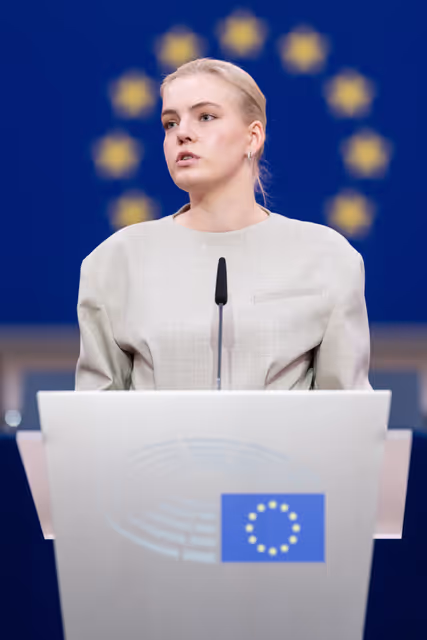 Photo 13: European Youth Event (EYE 2025)  - Panels, interactive workshops and activities