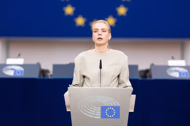 Photo 8: European Youth Event (EYE 2025)  - Panels, interactive workshops and activities