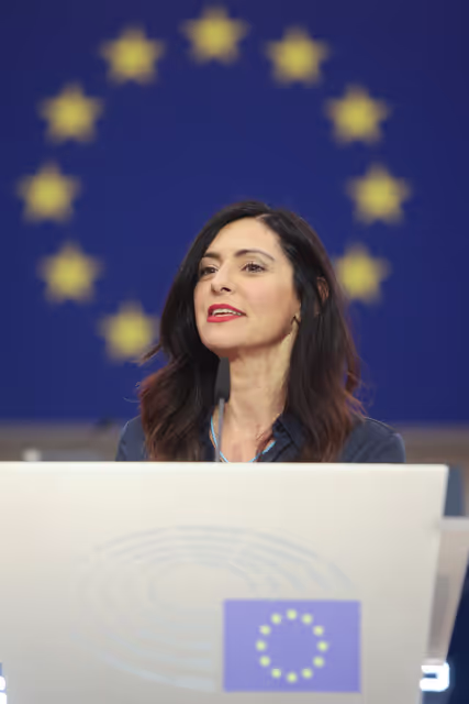 Photo 20: European Youth Event (EYE 2025) - Closing plenary session