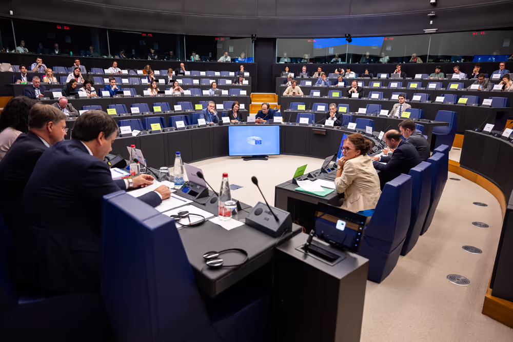 BUDG ECON - Recovery and Resilience Dialogue