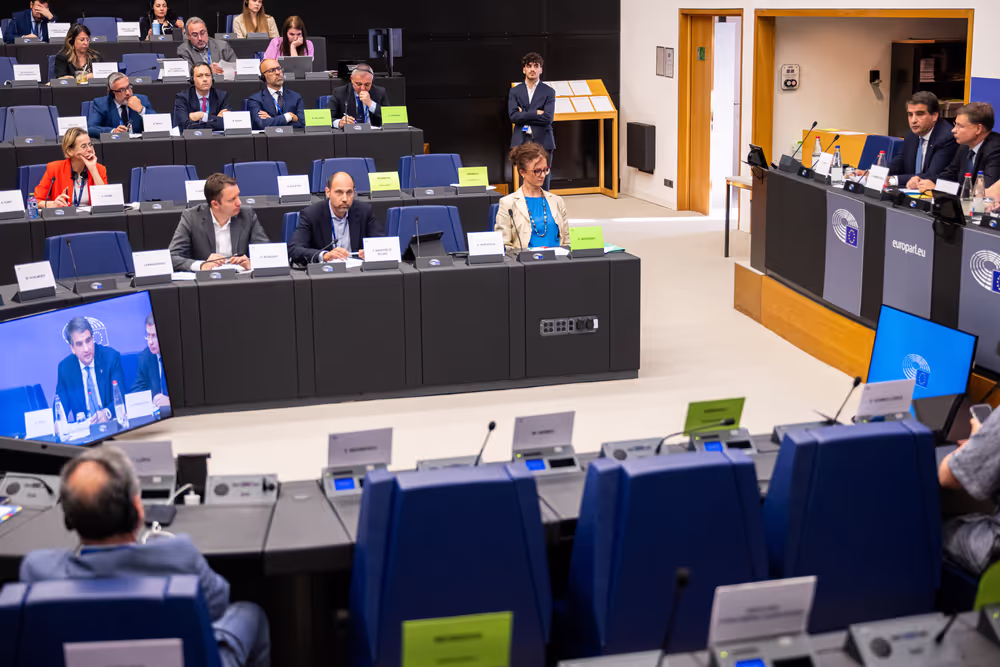 BUDG ECON - Recovery and Resilience Dialogue