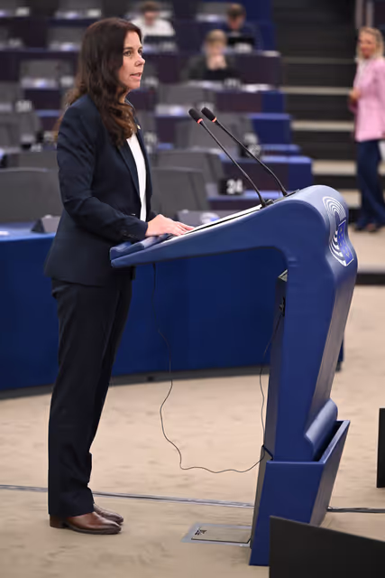 Valokuva 29: EP Plenary session - Combating the sexual abuse and sexual exploitation of children