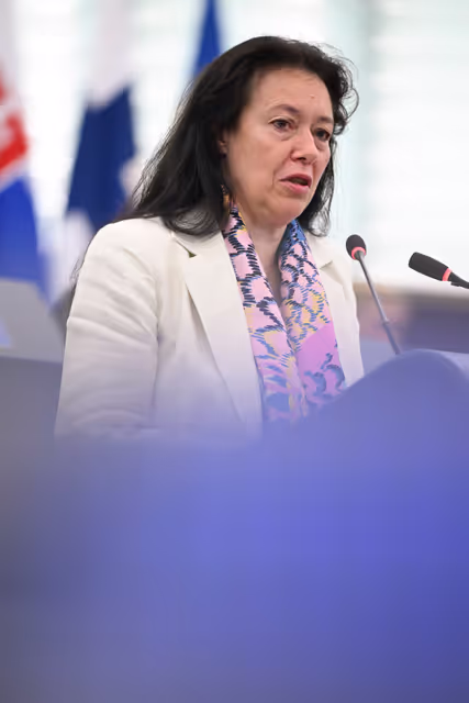 Valokuva 14: EP Plenary session - Combating the sexual abuse and sexual exploitation of children