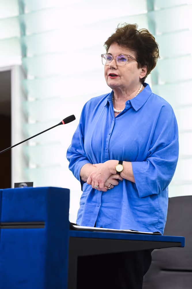 EP Plenary session - Implementation report on the Recovery and Resilience Facility