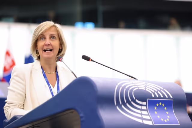 Fotagrafa 24: EP Plenary session- 2023 and 2024 reports on Moldova