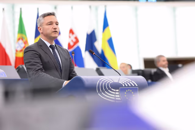 Fotagrafa 7: EP Plenary session- 2023 and 2024 reports on Moldova