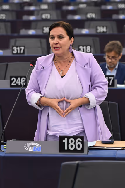 Foto 29: EP Plenary session - Joint Debate - Situation in the Middle East