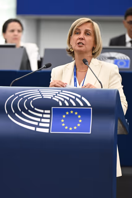 Foto 28: EP Plenary session - Joint Debate - Situation in the Middle East