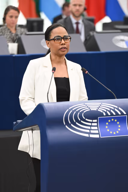 Foto 20: EP Plenary session - Joint Debate - Situation in the Middle East