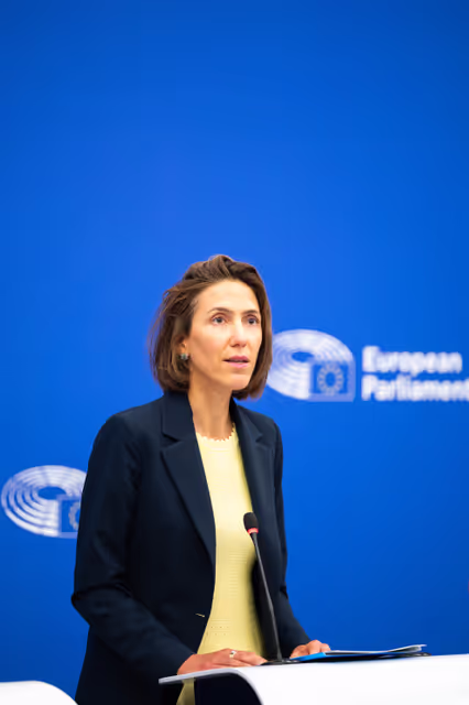 Foto 11: Press briefing Renew Europe