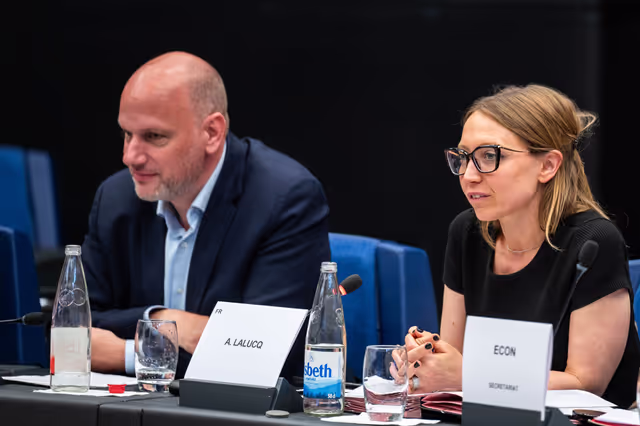 Conference of Committee Chairs (CCC)