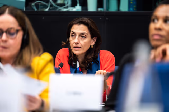 Foto 9: Conference of Committee Chairs (CCC)