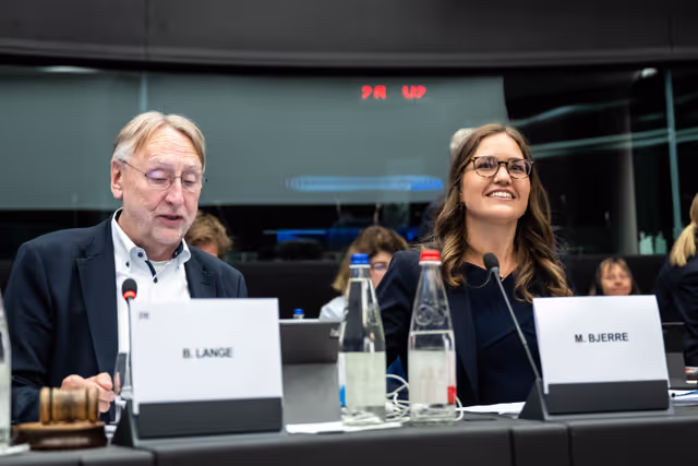 Foto 50: Conference of Committee Chairs (CCC)