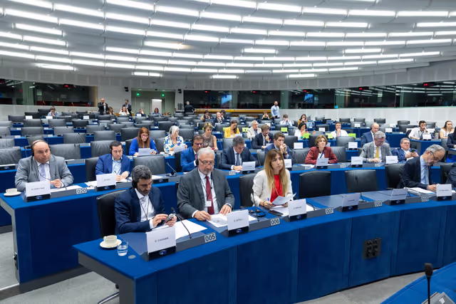 Fotagrafa 26: Delegation for relations with Mercosur (DMER) meeting