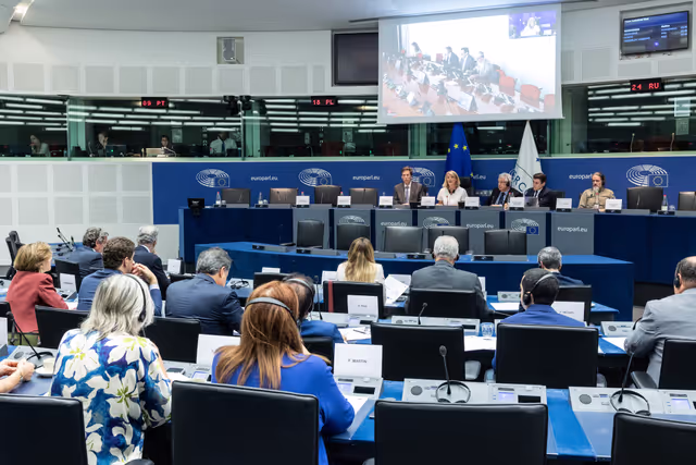 Fotagrafa 25: Delegation for relations with Mercosur (DMER) meeting