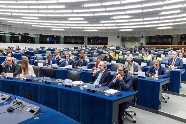 Fotagrafa 20: Delegation for relations with Mercosur (DMER) meeting