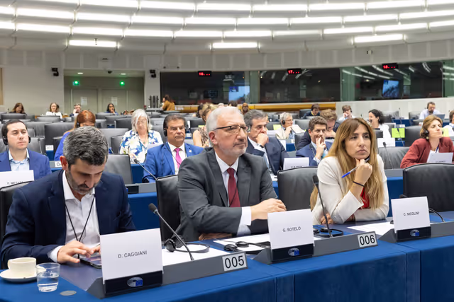 Fotagrafa 15: Delegation for relations with Mercosur (DMER) meeting