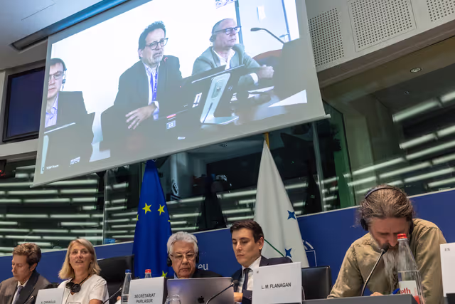 Fotagrafa 14: Delegation for relations with Mercosur (DMER) meeting