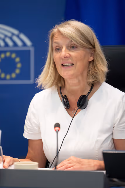 Fotagrafa 28: Delegation for relations with Mercosur (DMER) meeting